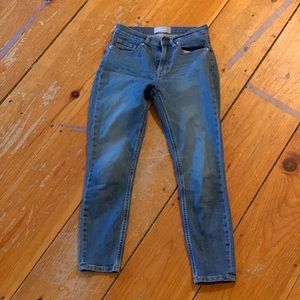 Everlane high-rise skinny ankle jean